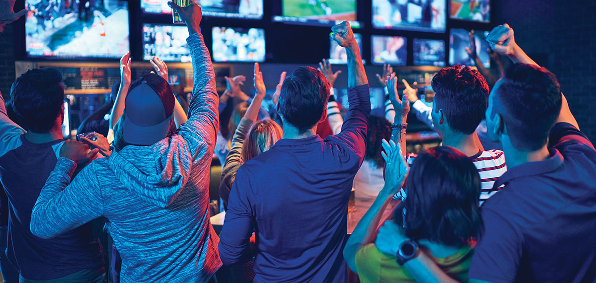 gold coast race and sports image